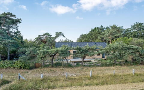 Kaila - 50M from the Sea: Boom, Struik, Land Lot, Plantengemeenschap, Huis, Landelijk Gebied, Verblijf, Tuin, Boerderij