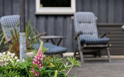 Tyyne - 250M from the Sea: Meubilair, Buitenmeubels, Struik, Tuin, Stoel, Bloempot, Groundcover, Buitentafel, Backyard, Werf