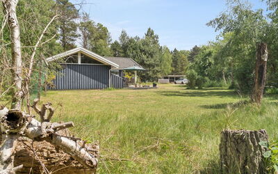 Tyyne - 250M from the Sea