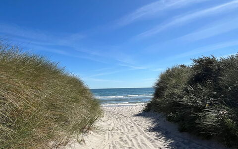 Frido - 500M from the Sea: Blauw, Natuurlijke Omgeving, Strand, Kust, Horizon, Zee, Kust En Oceanic Landvormen, Kust, Oceaan