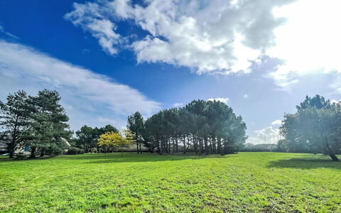 Saint Philibert 163: Wolk, Lucht, Fabriek, Ecoregio, Natuurlijk Landschap, Natuurlijke Omgeving, Boom, Land Lot, Zonlicht