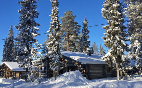 Kuusi-Ruka 6: Sneeuw, Boom, Winter, Afdeling, Hout, Verblijf, Landschap, Freezing, Lariks