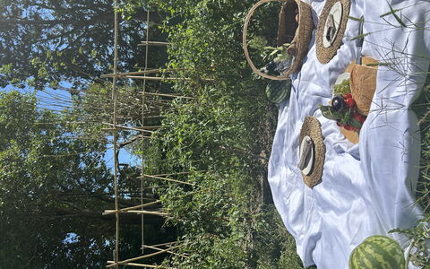 Borgo Dolciano: Tuin, Produceren, Fruit, Natuurlijke Voedingsmiddelen, Landbouw