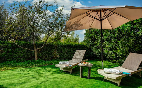 Villa Sorrentina With Panoramic Terrace: Fabriek, Wolk, Eigendom, Plantengemeenschap, Lucht, Paraplu, Groen, Blad, Plantkunde, Schaduw