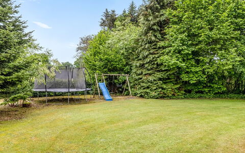 Diuri - 30Km from the Sea: Tuin, Gazon, Schaduw, Lariks, Landscaping, Park, Evergreen, Werf