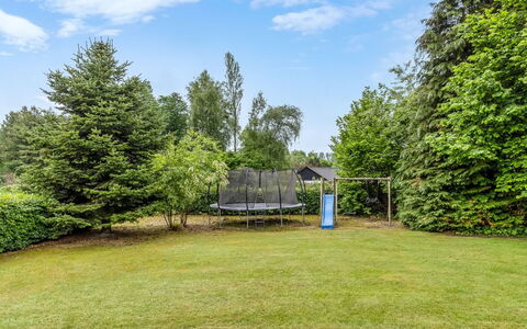 Diuri - 30Km from the Sea: Boom, Struik, Land Lot, Tuin, Schaduw, Gazon, Park, Landscaping, Evergreen, Werf