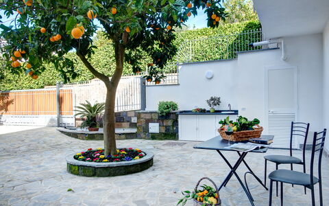 Clementine Country House: Fabriek, Bloem, Tafel, Bloempot, Kamerplant, Boom, Gebouw