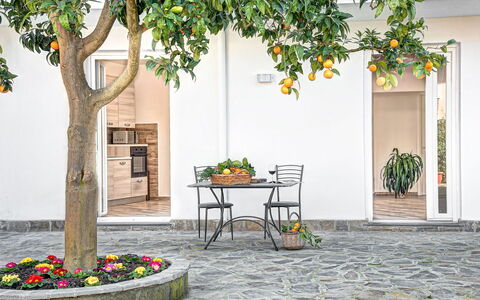 Clementine Country House: Fabriek, Eigendom, Gebouw, Meubilair, Tafel, Bloempot, Blad, Weg Oppervlak, Architectuur, Boom