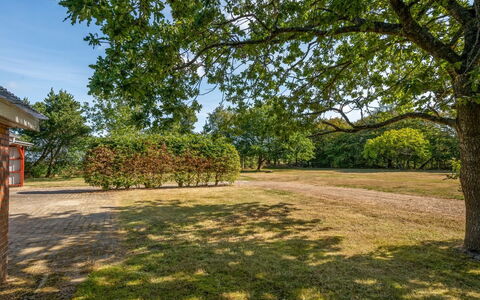 Agla - 2.5Km from the Sea: Blauw, Dag, Boom, Afdeling, Blad, Natuurlijke Omgeving, Natuur, Plain, Landschap, Grasland