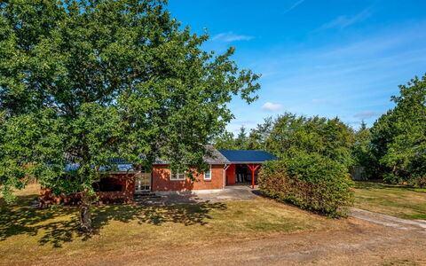 Agla - 2.5Km from the Sea: Blauw, Boom, Gras, Blad, Natuur, Afdeling, Landschap, Struik, Plain