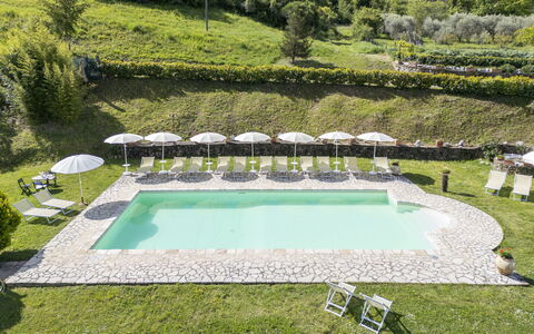 Marcigliana Cottage, Pool, Radicondoli: Buitenmeubels, Zwembad, Gazon, Toevlucht, Tuin, Eco Hotel, Buitentafel, Ligstoel, Hotel, Landscaping