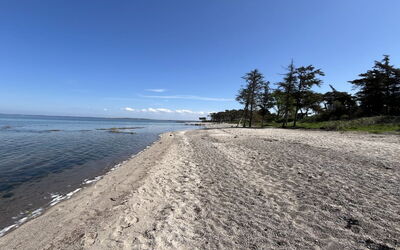 Zezilie - 125M from the Sea