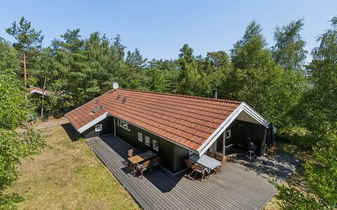 Aimo - 300M from the Sea: Vegetation, Struik, De Lente, Verblijf, Tuin, Schaduw, Backyard, Werf, Stoel