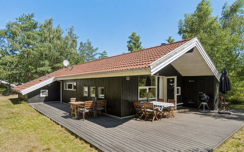 Aimo - 300M from the Sea: Vegetation, Struik, De Lente, Verblijf, Tuin, Schaduw, Backyard, Werf, Stoel