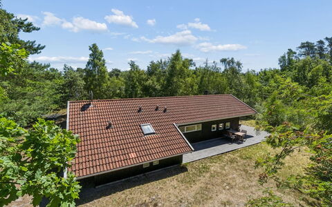Aimo - 300M from the Sea: Vegetation, Struik, De Lente, Verblijf, Tuin, Schaduw, Backyard, Werf, Stoel