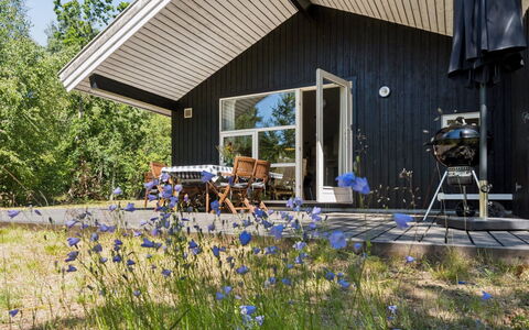 Aimo - 300M from the Sea: Vegetation, Struik, De Lente, Verblijf, Tuin, Schaduw, Backyard, Werf, Stoel