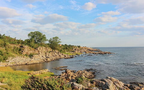 Franca - 75M from the Sea: Hout, Meubilair, Appartement, Kamer, Plafond, Beits, Stoel, Hardwood, Vernis, Timmerhout