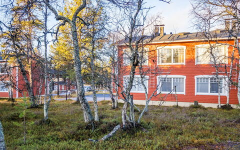 Rautulampi G14: Afdeling, Boom, Takje, Huis, Huis, Winter, Trunk, Freezing, Sneeuw, Werf