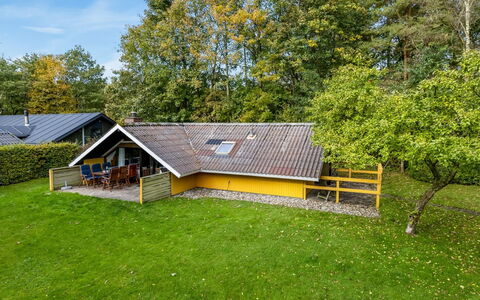 Amila - 30Km from the Sea: Verblijf, Dak, Gazon, Boerderij, Tuin, Landgoed, Garden Gebouwen, Werf, Schaduw, Landscaping