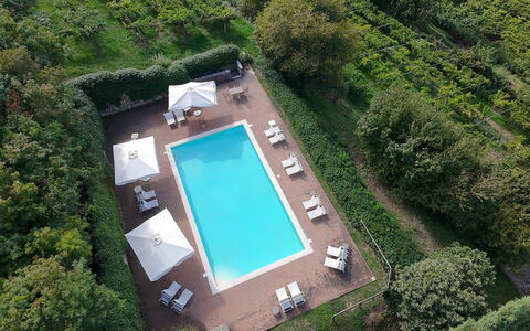 Il Vigneto, Verona, Pool, Wifi: Zwembad, Toevlucht, Eco Hotel, Buitenmeubels, Tuin, Hotel, Landscaping, Villa, Hacienda, Plantage