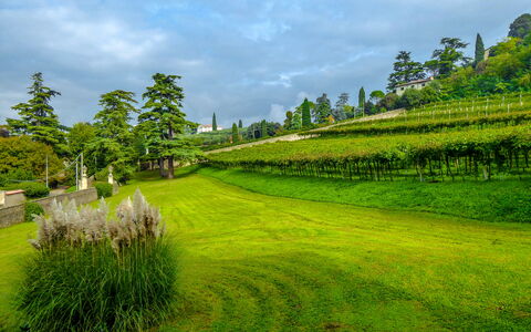 Il Vigneto, Verona, Pool, Wifi: Wolk, Lucht, Fabriek, Groen, Natuurlijk Landschap, Boom, Land Lot, Hoogland, Landbouw, Plain