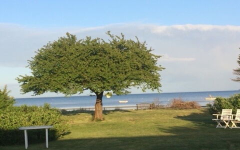 Viveke - 10M from the Sea: Hout, Huis, Veranda, Dek, Hardwood, Dak, Beits, Houten Vloer, Eco Hotel