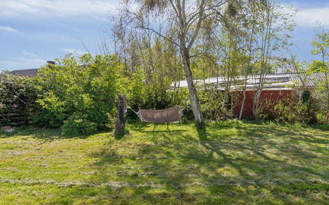 Edgar - 300M from the Sea: Gras, Groen, Blad, Vegetation, Struik, Tuin, Land Lot, Landelijk Gebied