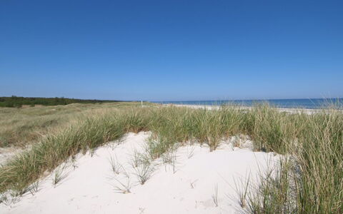 Amaru - 500M from the Sea: Appartement, Condominium, Landgoed, Balkon, Villa, Hotel