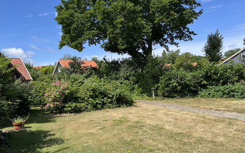 Skyler - 250M from the Sea: Appartement, Condominium, Landgoed, Balkon, Villa, Hotel