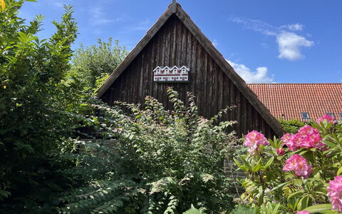 Skyler - 250M from the Sea: Appartement, Condominium, Landgoed, Balkon, Villa, Hotel