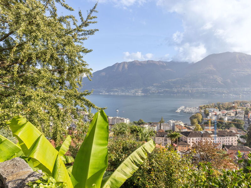 Locarno 361