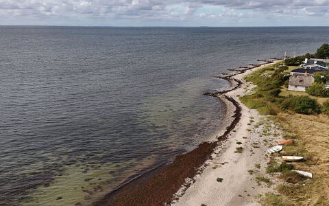 Svanborg - 40M from the Sea: Appartement, Condominium, Landgoed, Balkon, Villa, Hotel