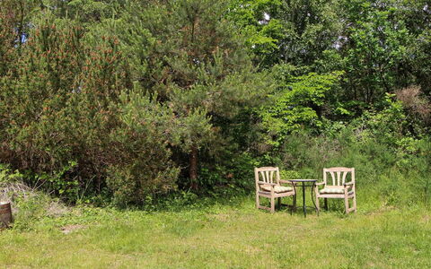 Mielikki - 2Km from the Sea: Vegetation, Struik, Plantengemeenschap, Groundcover, Tuin, Natuurgebied, Buitenmeubels, Shrubland, Weide