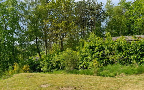 Henryette - 1.5Km from the Sea: Hout, Huis, Veranda, Dek, Hardwood, Dak, Beits, Houten Vloer, Eco Hotel