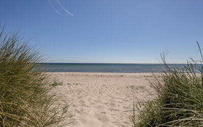 Gjorgjija - 50M from the Sea