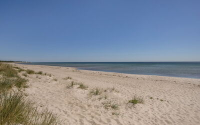 Gjorgjija - 50M from the Sea