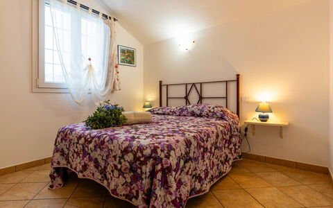 Accommodatie:&nbsp;Olive Lodge 637.3