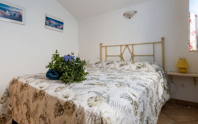 Accommodatie:&nbsp;Garden 637.1
