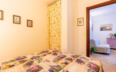 Accommodatie:&nbsp;Olive Lodge 637.3