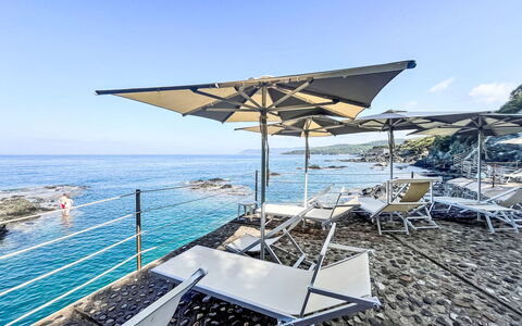 Accommodatie:&nbsp;La Conchiglia 230.2