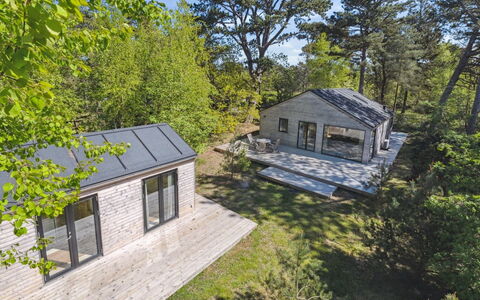 Dagino - 200M from the Sea: Vegetation, Struik, De Lente, Verblijf, Tuin, Schaduw, Backyard, Werf, Stoel