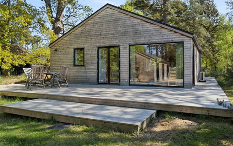 Dagino - 200M from the Sea: Vegetation, Struik, De Lente, Verblijf, Tuin, Schaduw, Backyard, Werf, Stoel