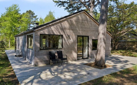 Dagino - 200M from the Sea: Vegetation, Struik, De Lente, Verblijf, Tuin, Schaduw, Backyard, Werf, Stoel