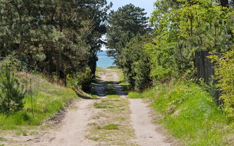 Dagino - 200M from the Sea: Vegetation, Struik, De Lente, Verblijf, Tuin, Schaduw, Backyard, Werf, Stoel