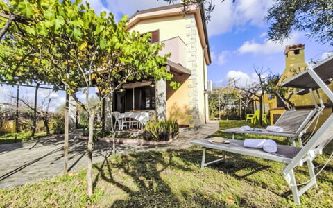 Remo: Woongebied, Struik, Huis, Tuin, Landgoed, Landscaping, Voorstad, Verblijf, Schaduw, Werf