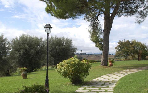 Villa del Lago: Boom, Blad, Struik, Tuin, Trunk, Gazon, Woody Plant, Schaduw, Landscaping