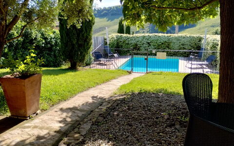 Il Bosco: Struik, Tuin, Zwembad, Schaduw, Gazon, Backyard, Landscaping, Vrije Tijd, Werf