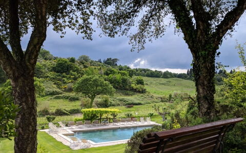 Podere della Bruciata: Boom, Struik, Zwembad, Tuin, Gazon, Landscaping, Eco Hotel, Backyard, Toevlucht