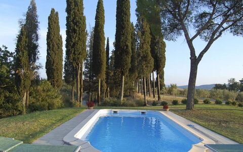 Santo Stefano: Zwembad, Tuin, Landscaping, Landgoed, Backyard, Schaduw, Villa, Evergreen, Hacienda