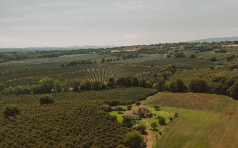 Bagnoletto: Grasland, Veld, Plain, Landschap, Plantage, Landelijk Gebied, Landbouw, Land Lot, Weide, Pasture